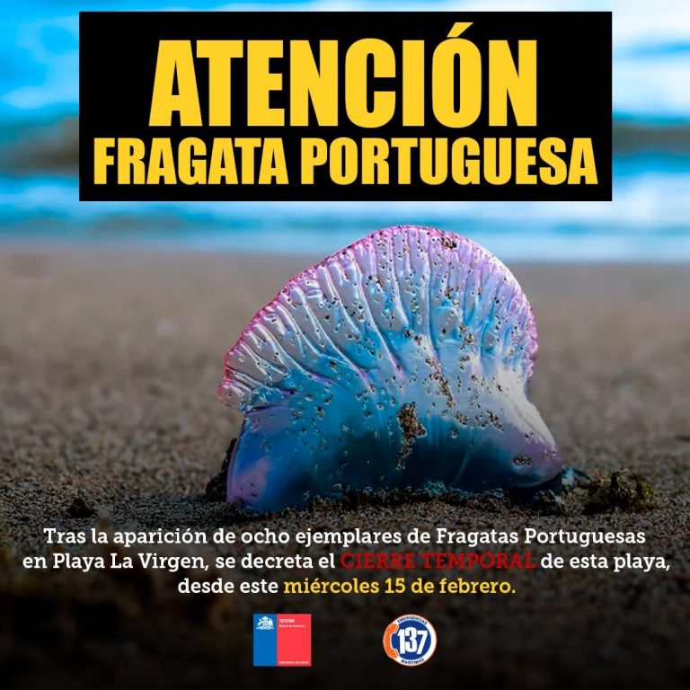 Fragata Portuguesa