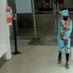 Robo Disfraz Dinosaurio
