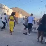 Maltrato Animal Inmigrantes