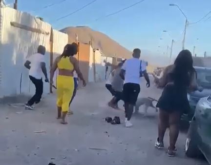 Maltrato Animal Inmigrantes